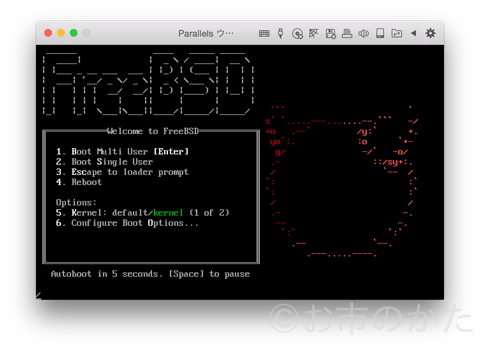 FreeBSD起動